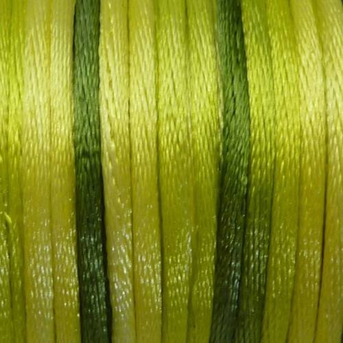 1m cordon ficelle chinoise 2mm multicolore dégradé de vert 2mm 