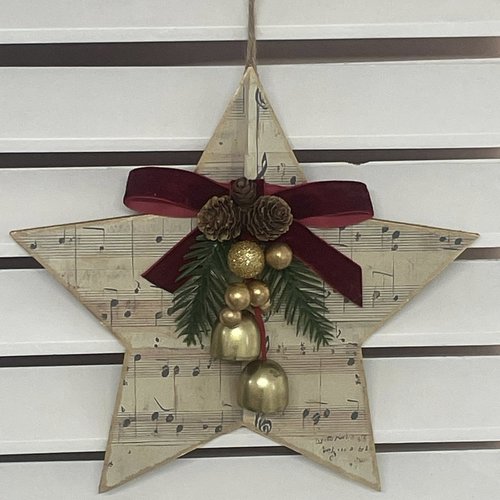 Etoile de noël (unique)