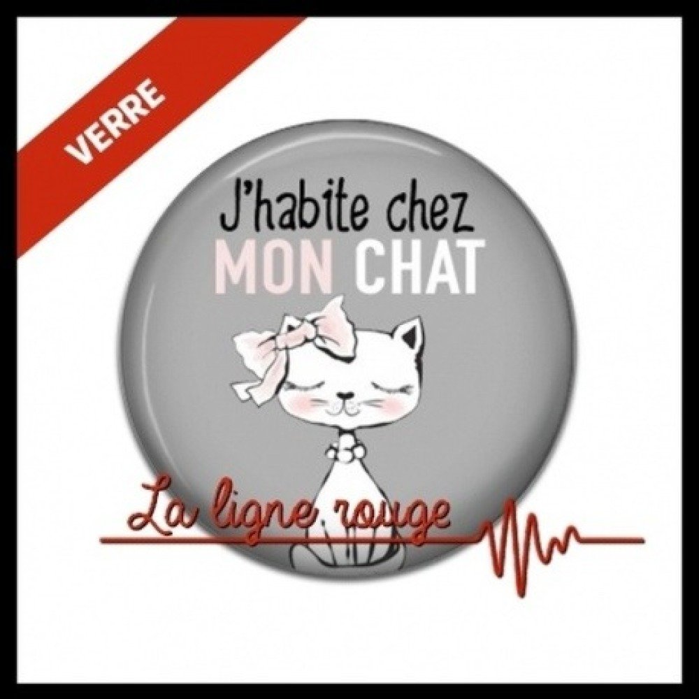 Cabochon Verre 25 Mm Cabochon J Habite Chez Mon Chat 17 Un Grand Marche