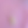 Collier fleurs de fuchsia