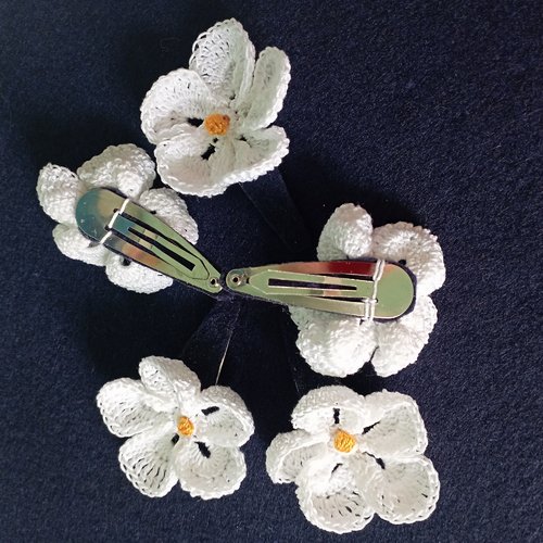 Fleur de frangipanier