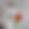 Rouge coquelicot