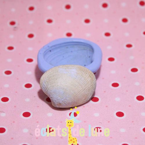 Moule silicone palourde coquillage 35/30mm