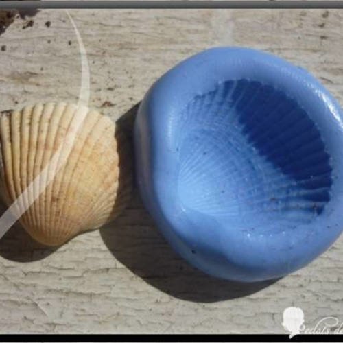 Moule silicone coquillage 25mm