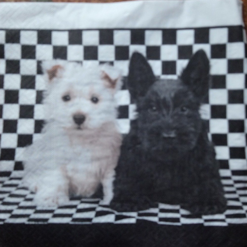 Serviette Chien Noir Et Blanc