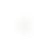 Breloque filigrane hippocampe blanc 21x11mm blc17-8