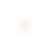 Breloque filigrane hippocampe beige 21x11mm blc17-9