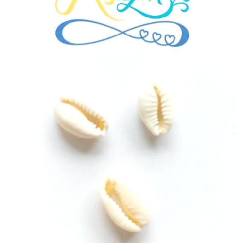 Perles coquillage cauris 15x10mm x10 blc20-8.