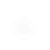 Estampe filigrane feuille blanche en métal 32x28mm x1 ou x10 geblc-90