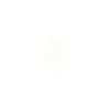 Lot estampe feuille blanche 22x9mm x10 lotblc2-5