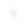 Lot estampe feuille rose 22x9mm x10 lotros3-4
