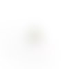 Estampe filigrane goutte feuille monstera blanche 26x15mm blc7-3