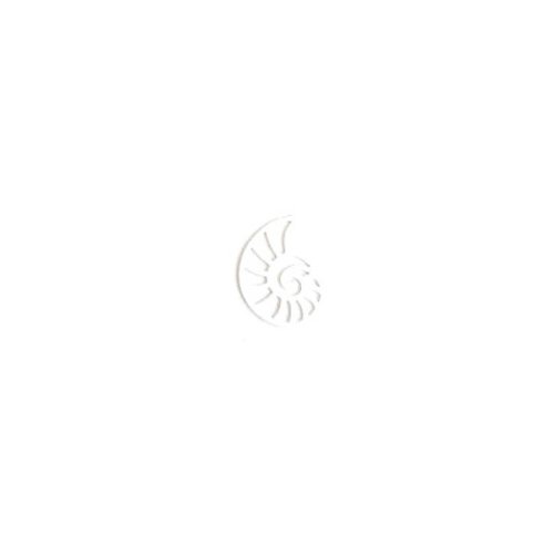 Lot estampe coquillage blanc 15x11mm x10 lotblc24-1