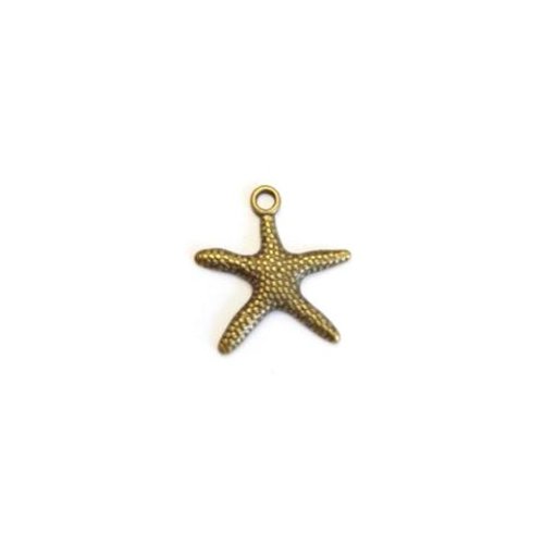 Lot breloque étoile de mer bronze 19x19mm x10 lotbr1-4