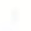 Lot clous tête ronde argentés acier inox 30 mm x100 lotapp-231