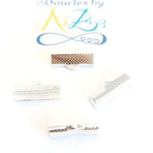 Embouts griffe / serres rubans argentés 8x20mm x 10 dest118