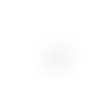 Breloque filigrane papillon blanc 12x15mm blc21-5