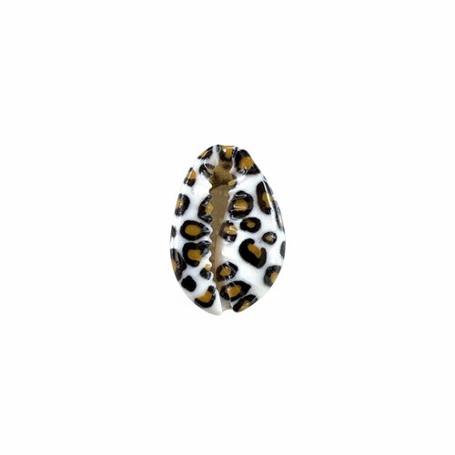 Coquillage cauri léopard blanc naturel 18-23 mm – breloque coquillage animal print bijoux diy, x1 ou x10 ma9-9