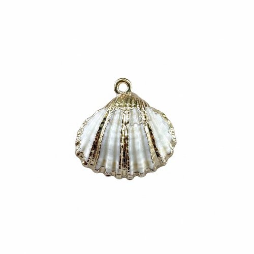 Pendentif coquillage naturel doré 18-30 mm – breloque coquillage mer bijoux diy, x1 ou x10 do49-4