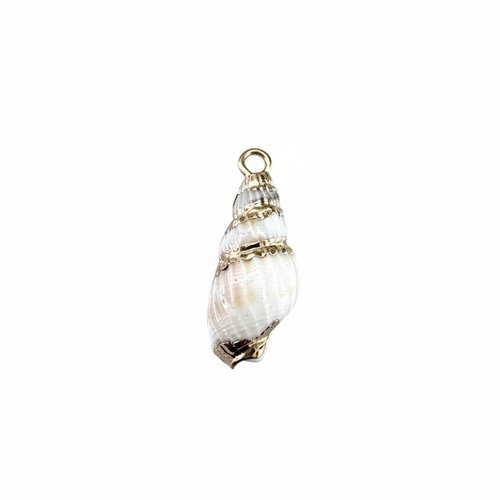 Pendentif coquillage spirale naturel doré 19-29 mm – breloque coquillage mer bijoux diy, x1 ou x10 do49-7