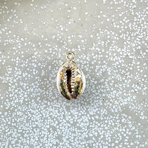 Pendentif coquillage cauri naturel doré 16-24 mm – breloque coquillage mer bijoux diy, x1 ou x10 do49-5