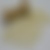 Bouton rond beige blanc deux trous 22 mm