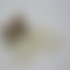 Bouton rond transparent blanc 4 trous 18 mm