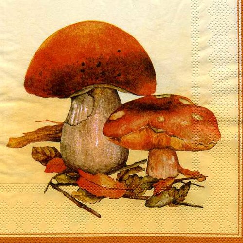 Serviette papier beaux champignons