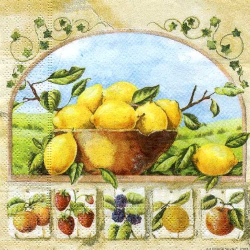 Serviette papier coupe de citrons, fruits