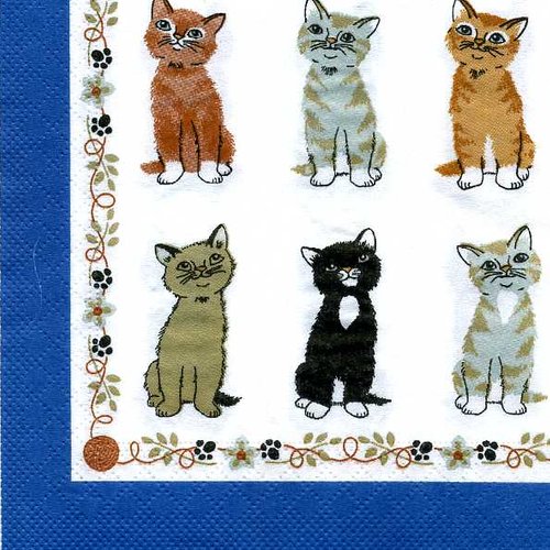 Serviette papier série de plusieurs chats de face, couleur différente