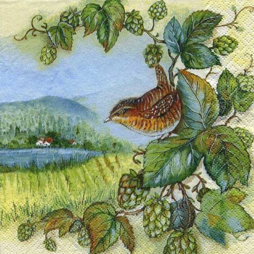A. serviette papier joli coin de campagne, framboises, oiseau 