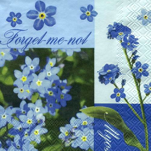 A. serviette papier myosotis - fleur bleues 