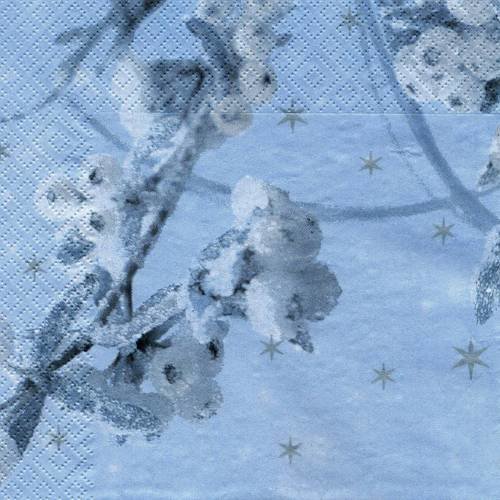 A. serviette papier cristaux et étoiles de glace 