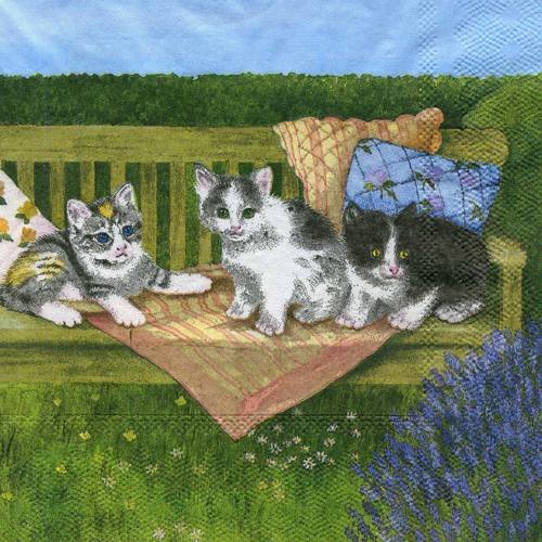 A. serviette papier trois chatons sur un banc 
