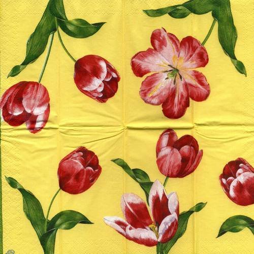 Mouchoir papier jolies tulipes rouges et roses 