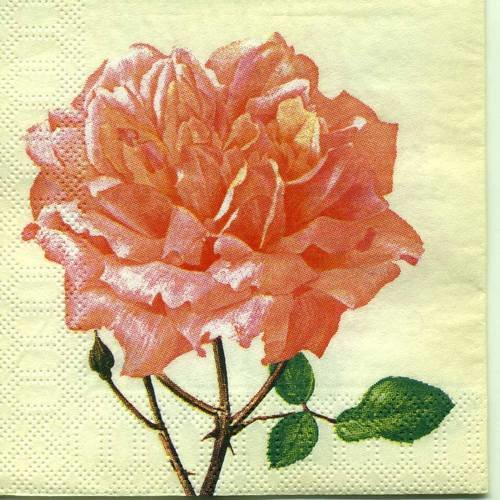 Serviette papier jolie rose orangée 