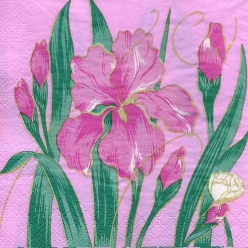 Serviette papier bel iris rose 