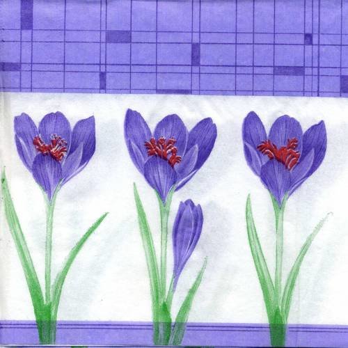Serviette papier trois crocus violets 