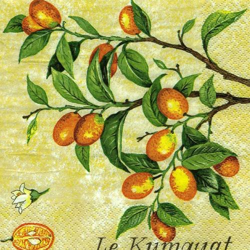 A. serviette papier branche de kumquat 