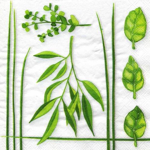 A. serviette papier divers feuillages verts 