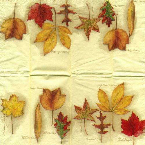 Mouchoir papier feuilles d'automne 