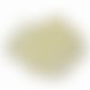 Perle ronde ivoire x20 - 6mm