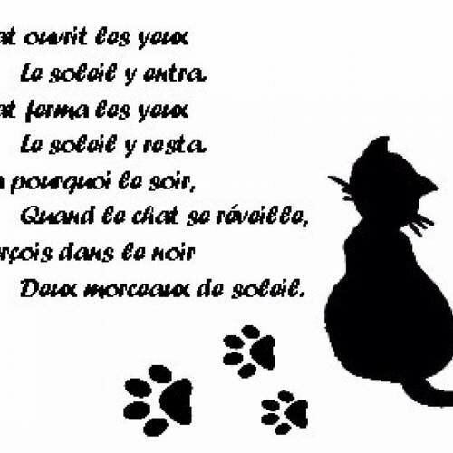 Grille Point De Croix Citation Du Chat Un Grand Marche Grille Point De Croix Citation Du Chat Un Grand Marche