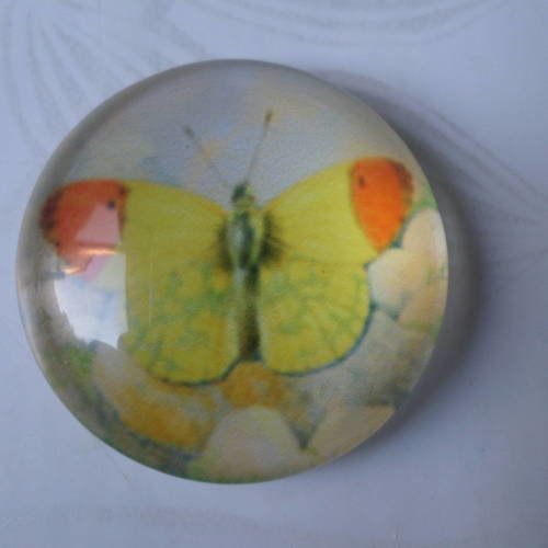 X 1 camée/cabochon rond en verre motif papillon ton jaune 25 mm 