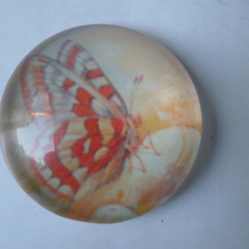 X 1 camée/cabochon rond en verre motif papillon ton orange 25 mm 
