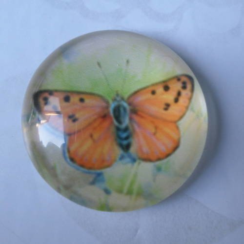 X 1 camée/cabochon rond en verre motif papillon ton orange 25 mm 