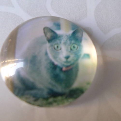 X 1 camée/cabochon rond en verre motif chat gris 20 mm 