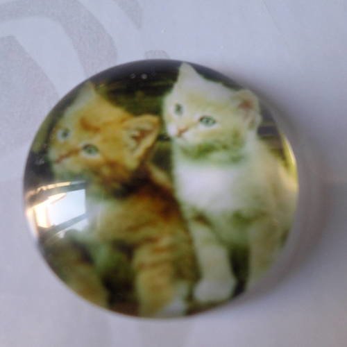 X 1 camée/cabochon rond en verre motif chatons 20 mm 