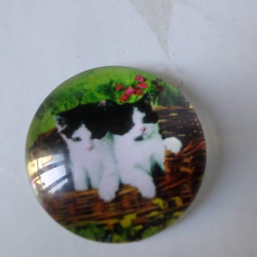 X camée/cabochon rond en verre motif chaton 20 mm 