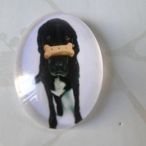 X 1 camée/cabochon ovale en verre motif chien 25 x 18 mm 